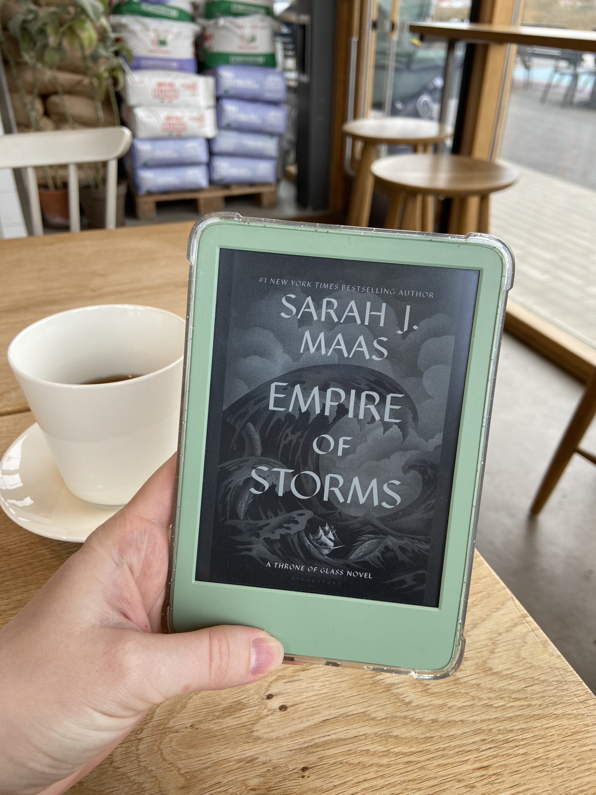 empire of storms, Sarah J Maas, bok